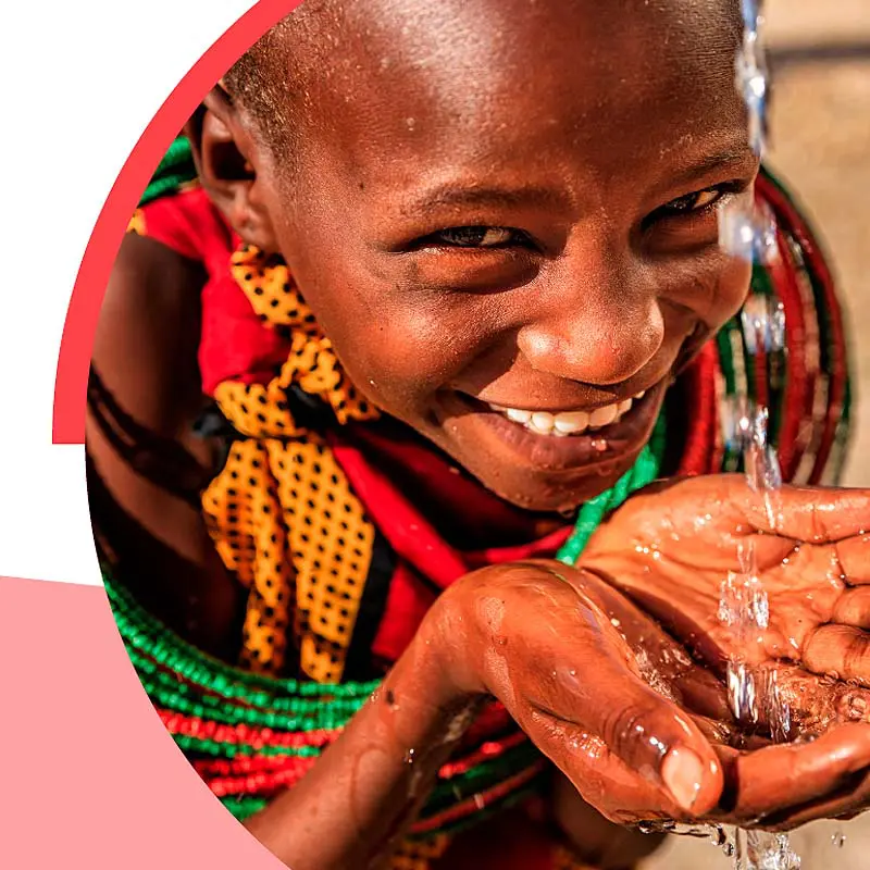 AMC Supply Chain Partner