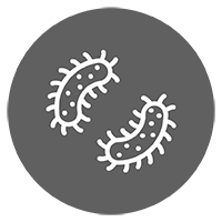 Commercial Disinfection Services
